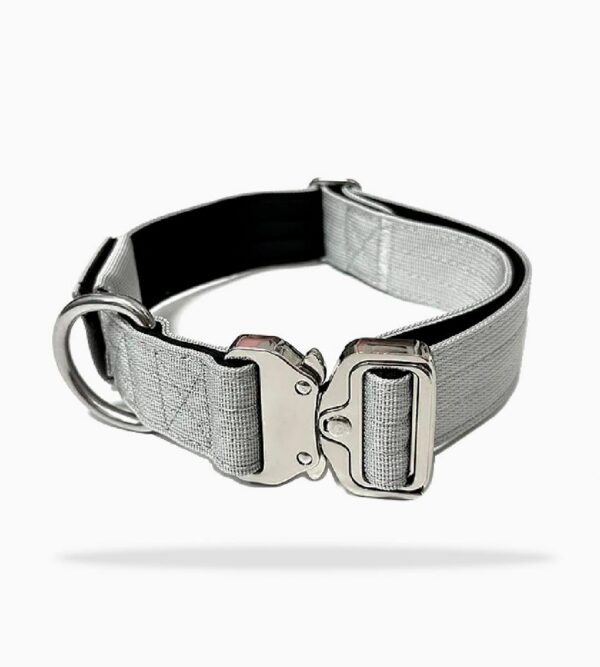 Dog Collar - Slip-On Martingale Nylon